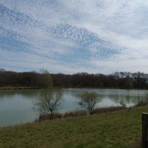 174558638 10159221101134493 6916460201791827015 n