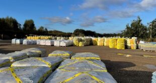 243271159 4877409795607265 7768549431519219349 n