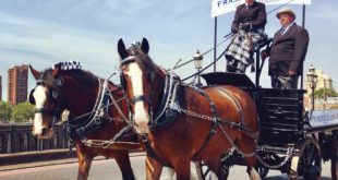 71E4F50F A9BA 43C1 9B8A A4B4DEF87A72