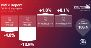 BMBI Q4 2019 Report Infographic Report Highlights