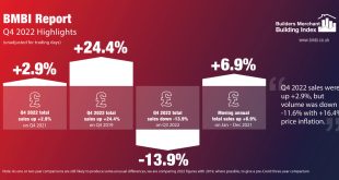 BMBI0006 BMBI Q4 Report