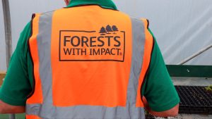 BSW Groups Community Support Committee supports 49 causes in Q2