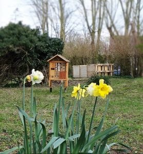 Biodiversity Hub at Grant UK