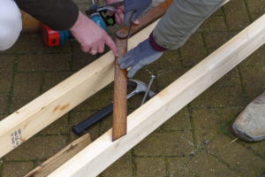 CASS Mudchute 2019 01