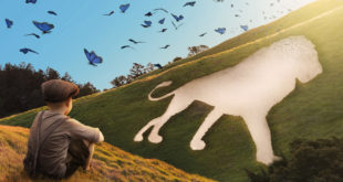 CFT THE BUTTERFLY LION landscape