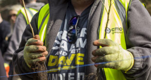 CMO CityTrees 2022 Studiose 7146 003