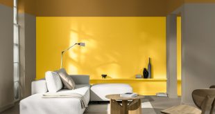 Dulux Colour Futures Colour of the Year 2025 True Joy Proud Residential 5