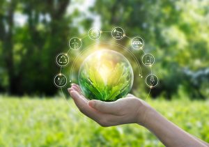 ERA Sustainability
