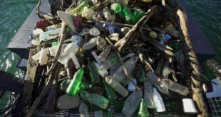 GROHE Clean up Bosnia and Herzegovina