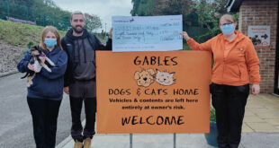 Gables Cats Dogs copy