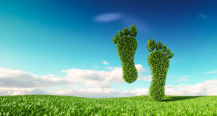 Green Homes Grant low res