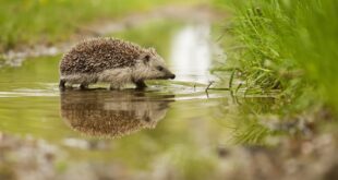 Habitat Matters Press Release Image 1