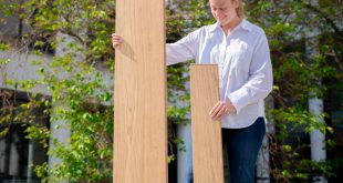 Hardened Oak SKOGEN Small with LYA XXL