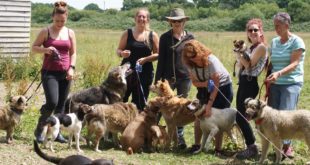 Holbrook Animal Rescue