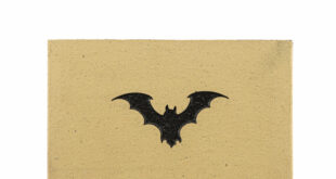 IBSTOCK BAT BRICK EDIT