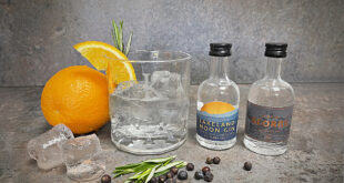 Kudos Gin Pairing Giftset