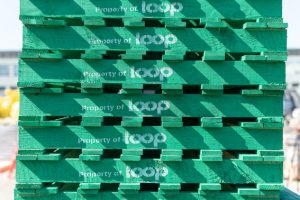 LOOP WEB RES 46