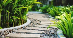 Landscaping Image