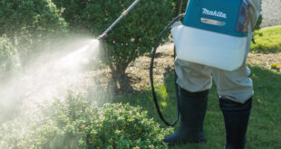 Makita Oct 2021 LXT New Products DUS0541
