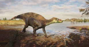 Dinosaur discovered at wienerberger brickworks named in honour of former site manager