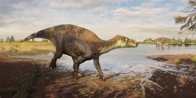 wienerberger site manager honoured by Dinosaur discovery
