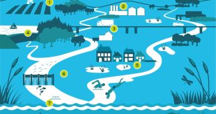 PfW Hero GOV 960x640 DRAFT