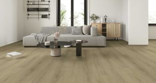 Portland Beech XL new
