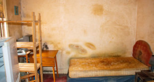 SE1908YG Safeguard Homes fit for Habitation YouGov Survey