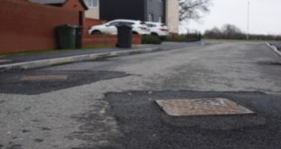 Sewers for adoption 7