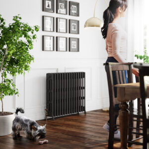 Stelrad radiators Antique Brass TRV 002 2