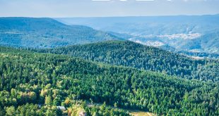 Duravit AG has published its new 2024 sustainability report, containing extensive information about the company’s brand, sustainability strategy, and long-term goals.