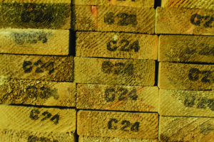 Timber Wholesale C24 lr