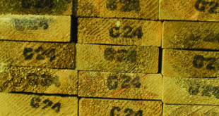Timber Wholesale C24 lr