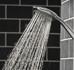 Triton showerhead