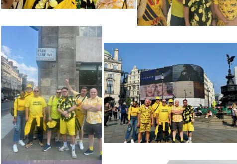 Get your yellow on again for Maddie’s Day 2026