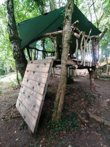 Wild Blossom Forest School 2