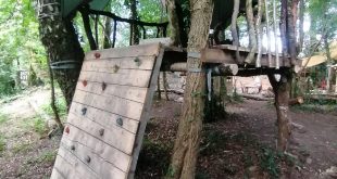 Wild Blossom Forest School 2