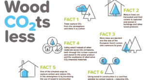 Wood Co2ts less infographic