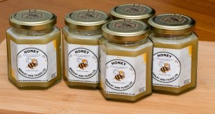 beesley and fildes bees