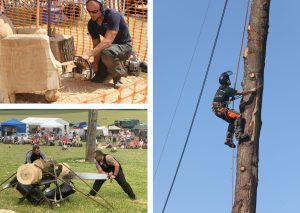 covers wests wood fair