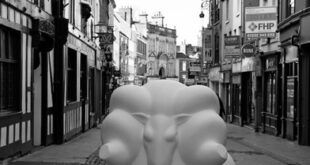 derby ram 2053807 format flex height@392@desktop