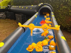 duck races