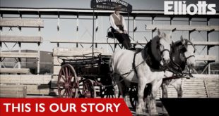 elliott brothers at 175