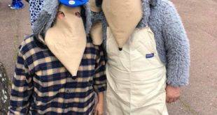 facebook 1567763936037