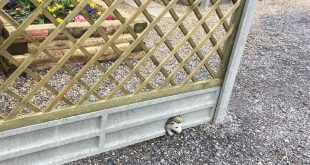 fd91685f 4ffc 455d bbf3 107b2446201c