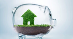 greenhomes piggy bank lr