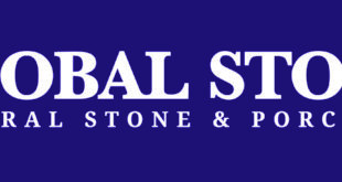 logo gs nsp white on 669c 1