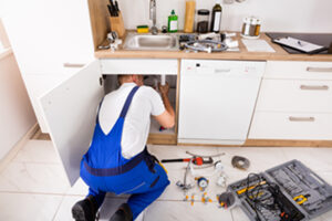 plumber low res 1