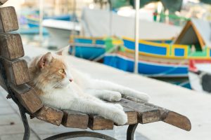 shutterstock 289794038