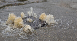 storm water overflowing